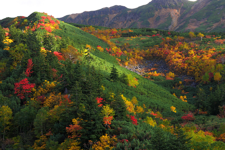十勝岳温泉（イメージ）/「十勝岳温泉の秋彩」愛知県の高野 利之さんの作品