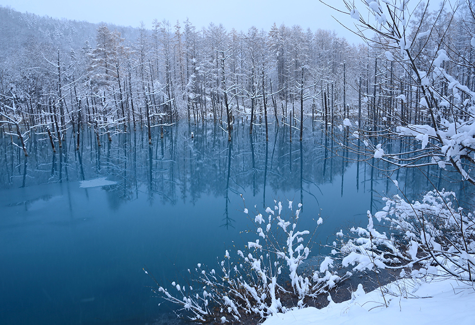 青い池（イメージ）/「美瑛ブル－の冬景色」神奈川県の松木 加代子さんの作品