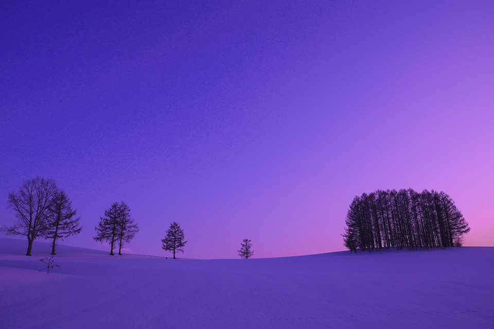 美瑛町（イメージ）/「残照のマイルドセブンの丘」愛知県の高野 利之さんの作品