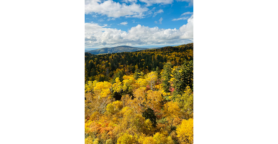 大雪山国立公園（イメージ）/「ロープウェイから見た紅葉」北海道のPN.旅好きヒロコさんの作品