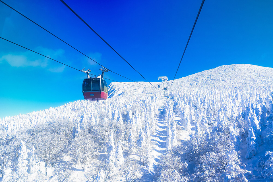 蔵王の樹氷（イメージ）