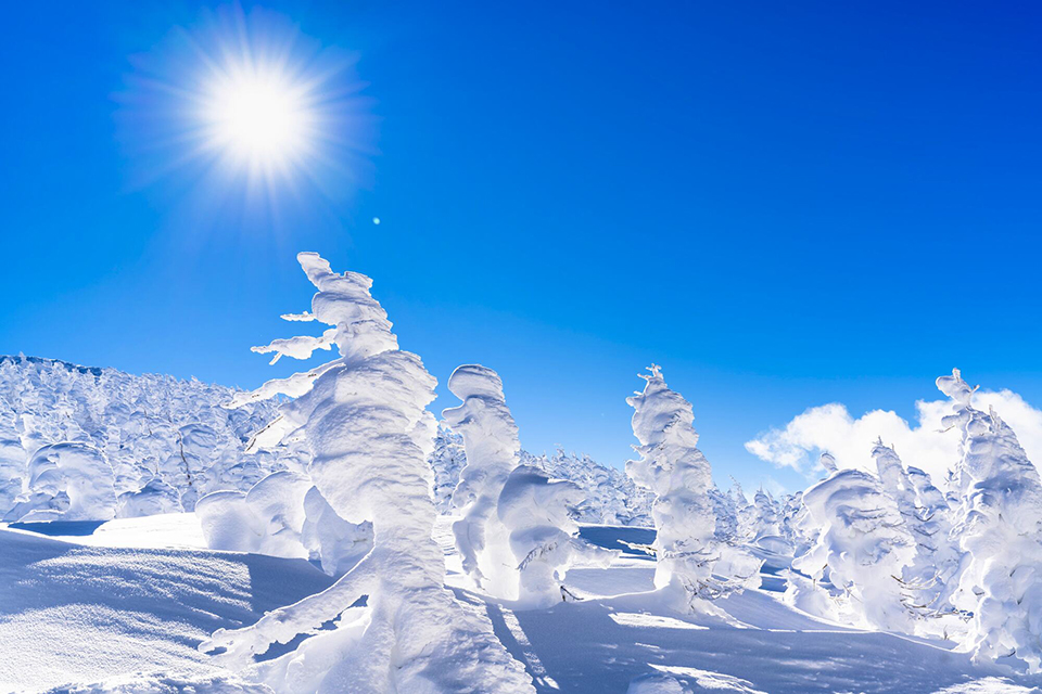 蔵王の樹氷（イメージ）