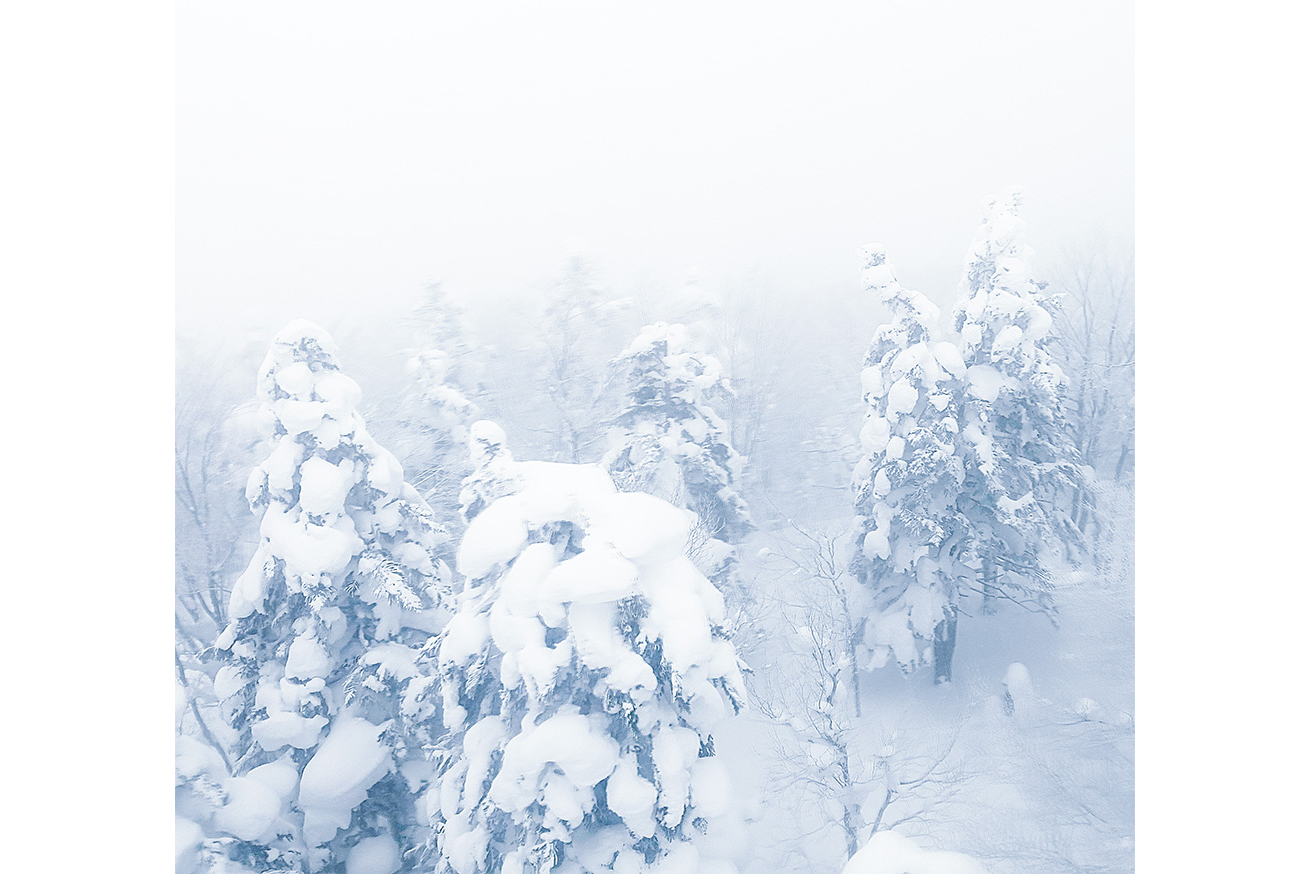 蔵王ロープウェイ 樹氷高原駅～地蔵山頂駅の樹氷（イメージ）