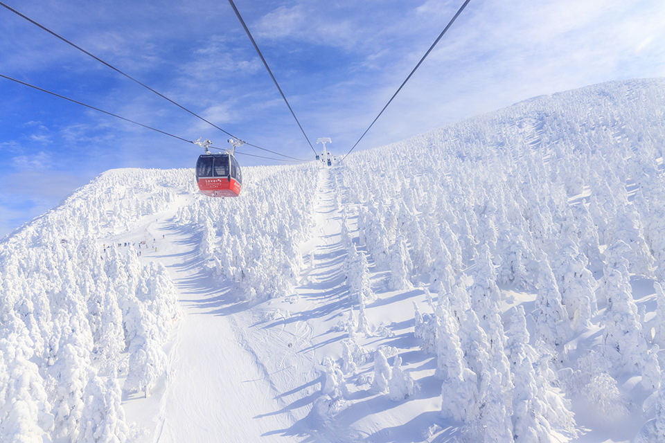 蔵王の樹氷（イメージ）