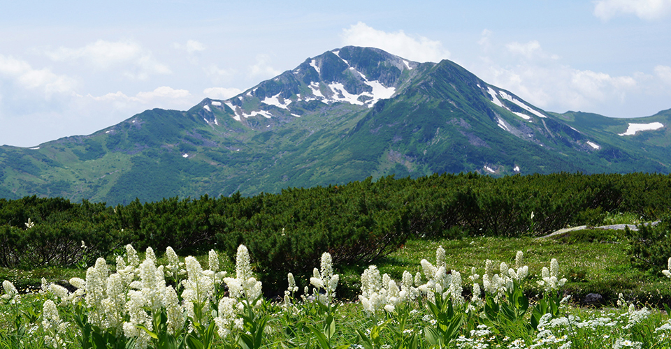 黒部五郎岳（イメージ）