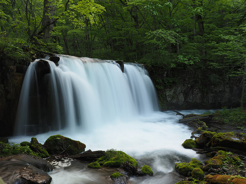 奥入瀬渓流（イメージ）/「奥入瀬の滝」千葉県の林 好一さんの作品
