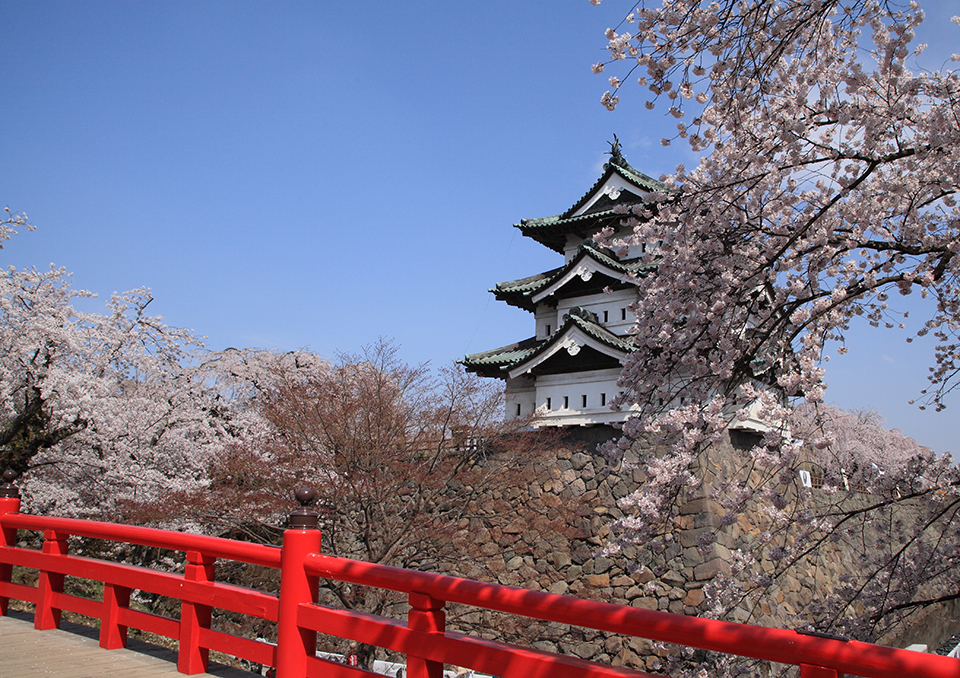 弘前城（イメージ）/「桜満開の弘前城」兵庫県の今田 裕さんの作品