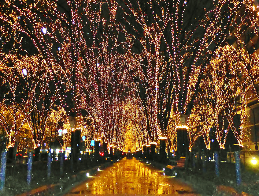 仙台市（イメージ）/「ゴールドロード」千葉県のPN.カストムクンさんの作品