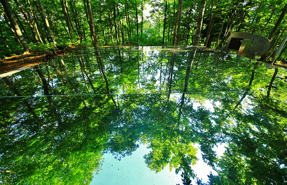 空気神社（イメージ）/「夕照の神社境内」東京都のPPN.フリックマン18さんの作品