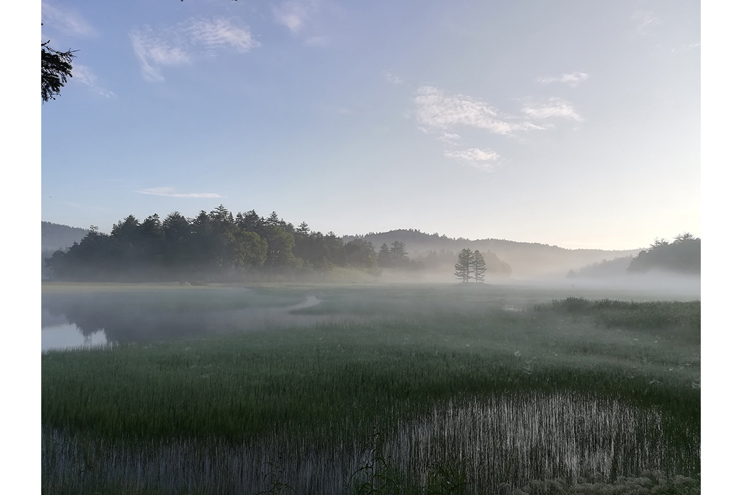 尾瀬（イメージ）/「早朝の尾瀬・大江湿原」東京都のPN.satoyamaさんの作品