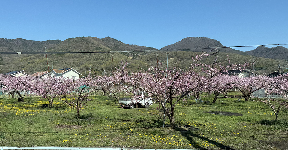 車窓の春景色（イメージ）