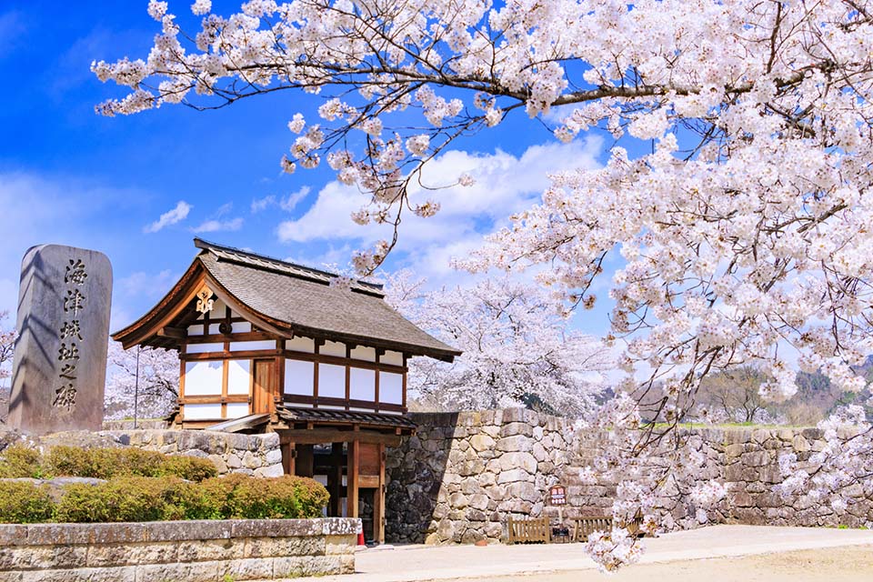 落ち着いた雰囲気で桜観賞ができる穴場スポット「松代城址」（イメージ）