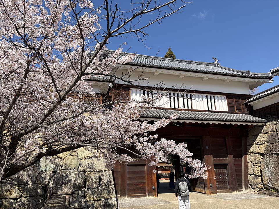 上田城のシンボルともいえる櫓門（イメージ）