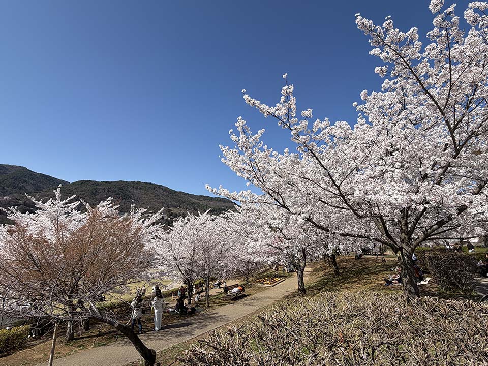 広大な敷地でのんびりと過ごせる城山公園（イメージ）
