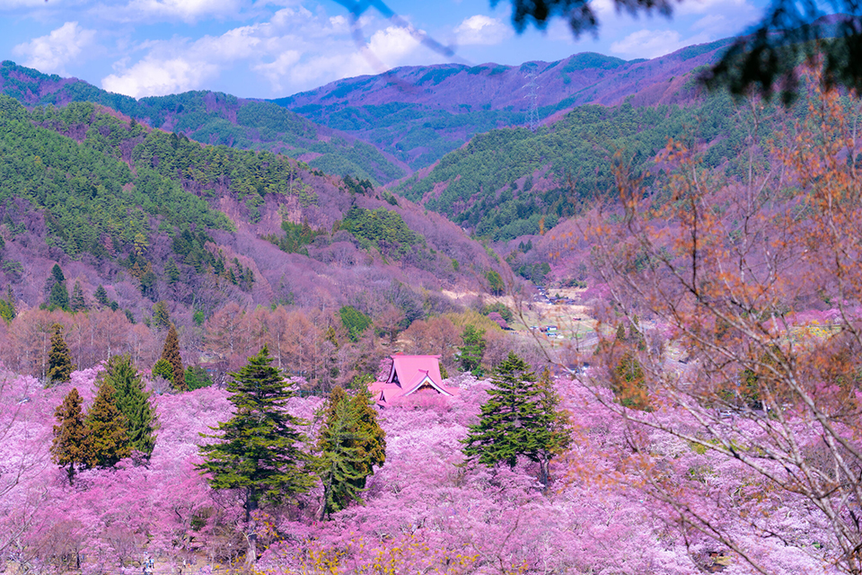 高遠城址公園・遠景（イメージ）