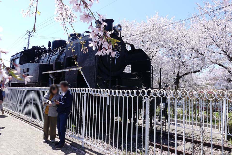 SLと桜のコラボレーションも（イメージ）