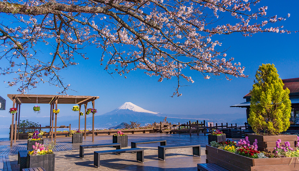 ふじさんデッキ（ハーブ庭園旅日記）（イメージ）