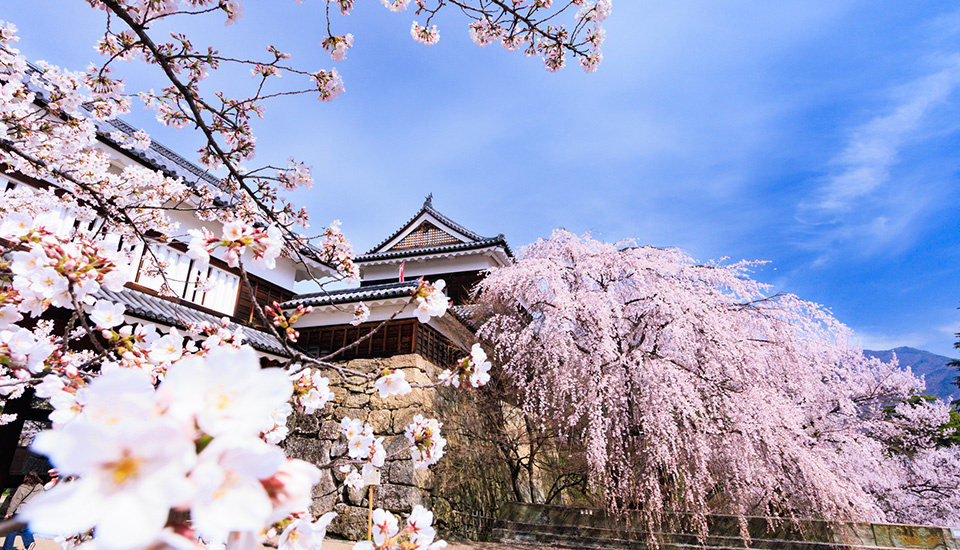 上田城址公園（イメージ）