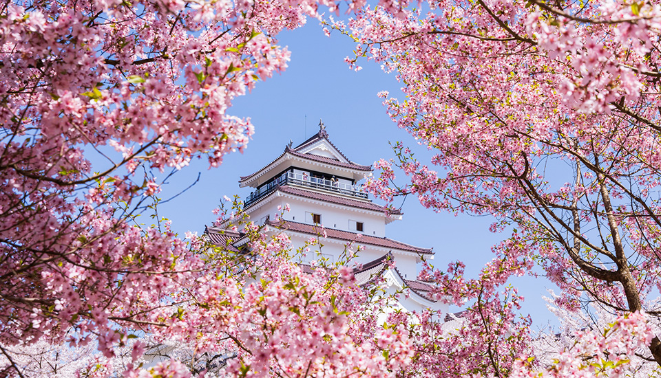 鶴ヶ城（会津若松城）（イメージ）