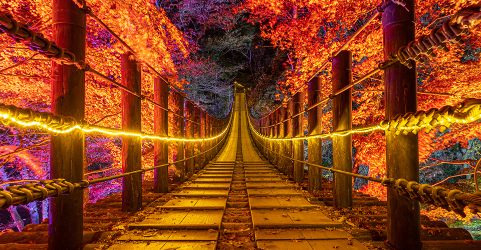花貫渓谷　紅葉ライトアップ（イメージ）