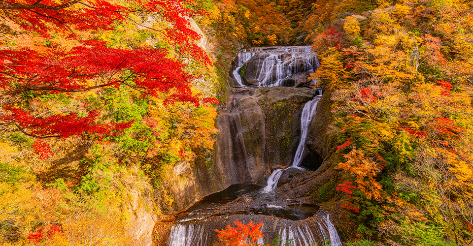 紅葉最盛期の袋田の滝（イメージ）