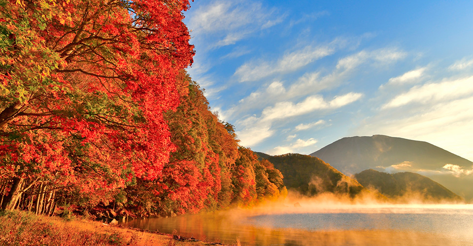 中禅寺湖と千手ヶ浜の紅葉（イメージ）