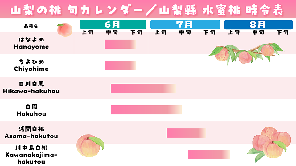 桃狩りカレンダー（イメージ）