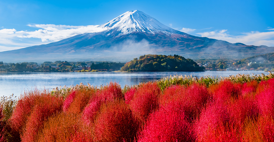 河口湖・大石公園から望む富士山（秋のイメージ）