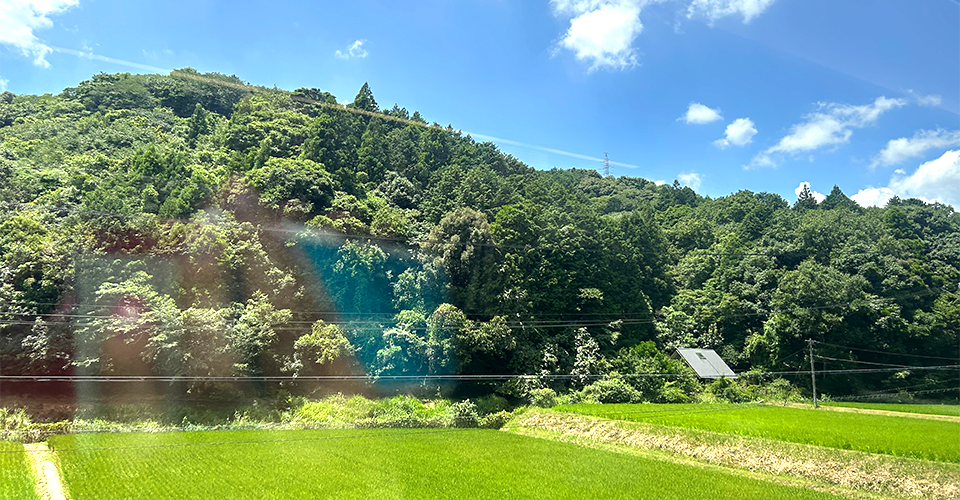 車窓から望む赤目の田園（津駅～大阪難波駅間）（イメージ）