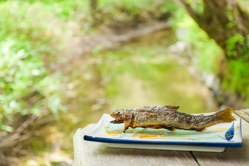 名物「岩魚の塩焼き」(イメージ)