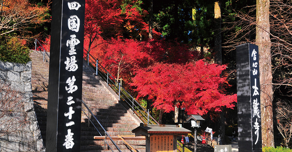 四国第21番札所「太龍寺」（イメージ）※紅葉の見頃は例年11月下旬～12月上旬