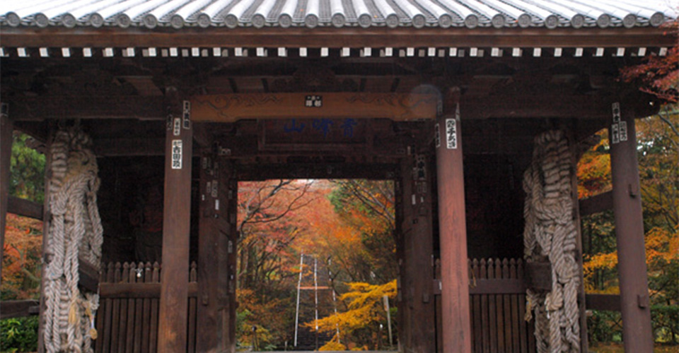四国第82番札所「根香寺」（イメージ）※紅葉の見頃は例年11月中旬～下旬