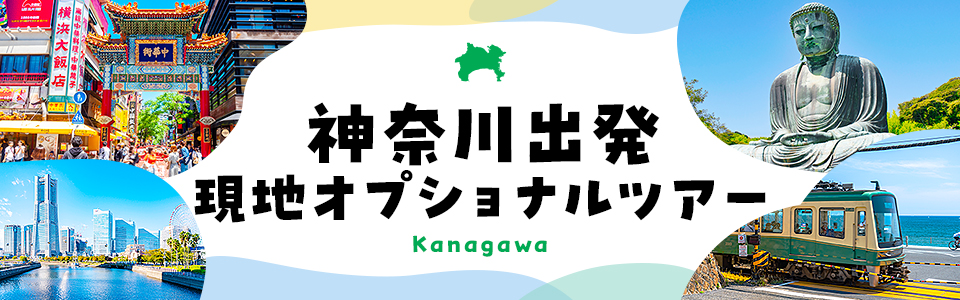 [Kanagawa Departure] Local Optional Tour Special