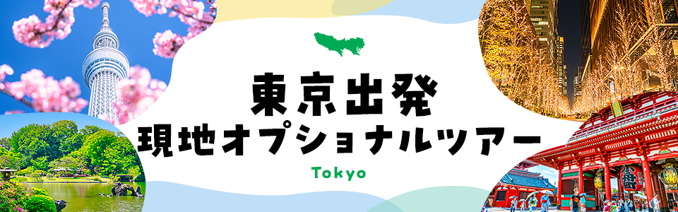 [Tokyo departure] Local optional tour special feature