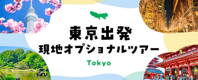 [Tokyo departure] Local optional tour special feature