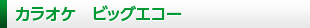 カラオケ ビッグエコー