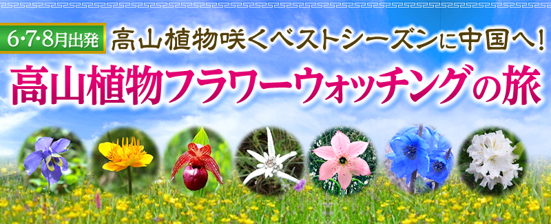 �����̍��R�A���t�����[�E�H�b�`���O���s�E�c�A�[�B���R�A���炭�x�X�g�V�[�Y���ɒ����֍s�����I