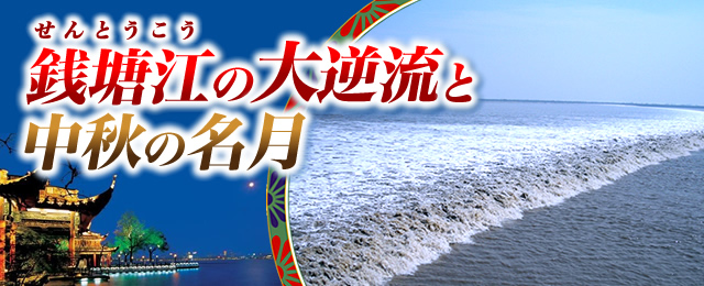 �K���]�i����Ƃ������j�̑�t���ƒ��H�̖������s�E�c�A�[