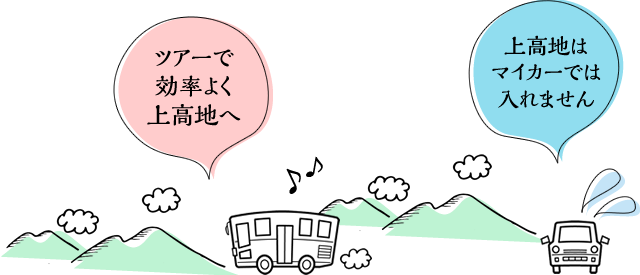 �c�A�[�Ō����悭�㍂�n��
