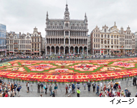 2年に1度だけの花の祭典 ベルギー「フラワーカーペット」へ