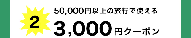 3,000円分クーポン