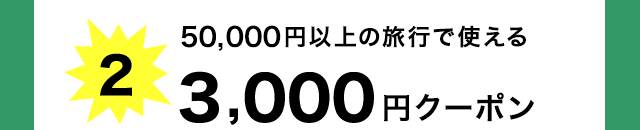 3,000円分クーポン