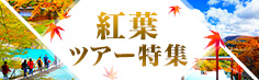 紅葉ツアー特集