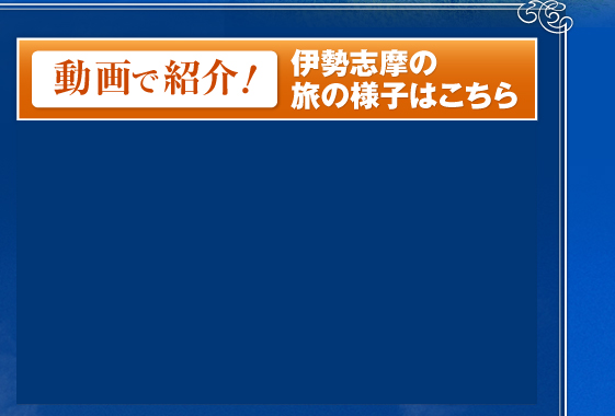 ����ŏЉ�I�@�ɐ��u���̗��̗l�q�͂�����