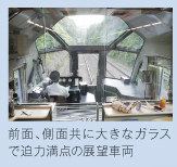 �O�ʁA���ʋ��ɑ傫�ȃK���X�Ŕ��͖��_�̓W�]�ԗ�