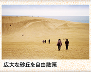 広大な砂丘を自由散策