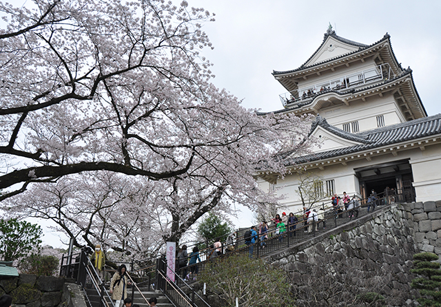 小田原城 ※神奈川県在住：大手達雄様の作品（イメージ）