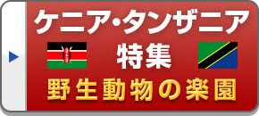ケニア・タンザニア旅行・ツアー