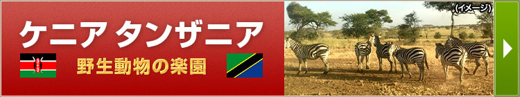 タンザニア特集