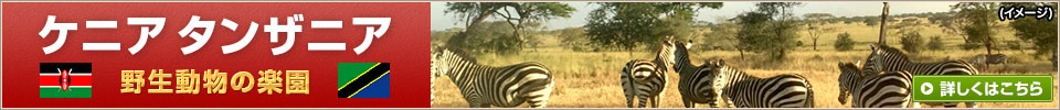 タンザニア特集